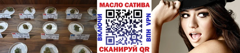 ТГК гашишное масло  продажа наркотиков  Арамиль 